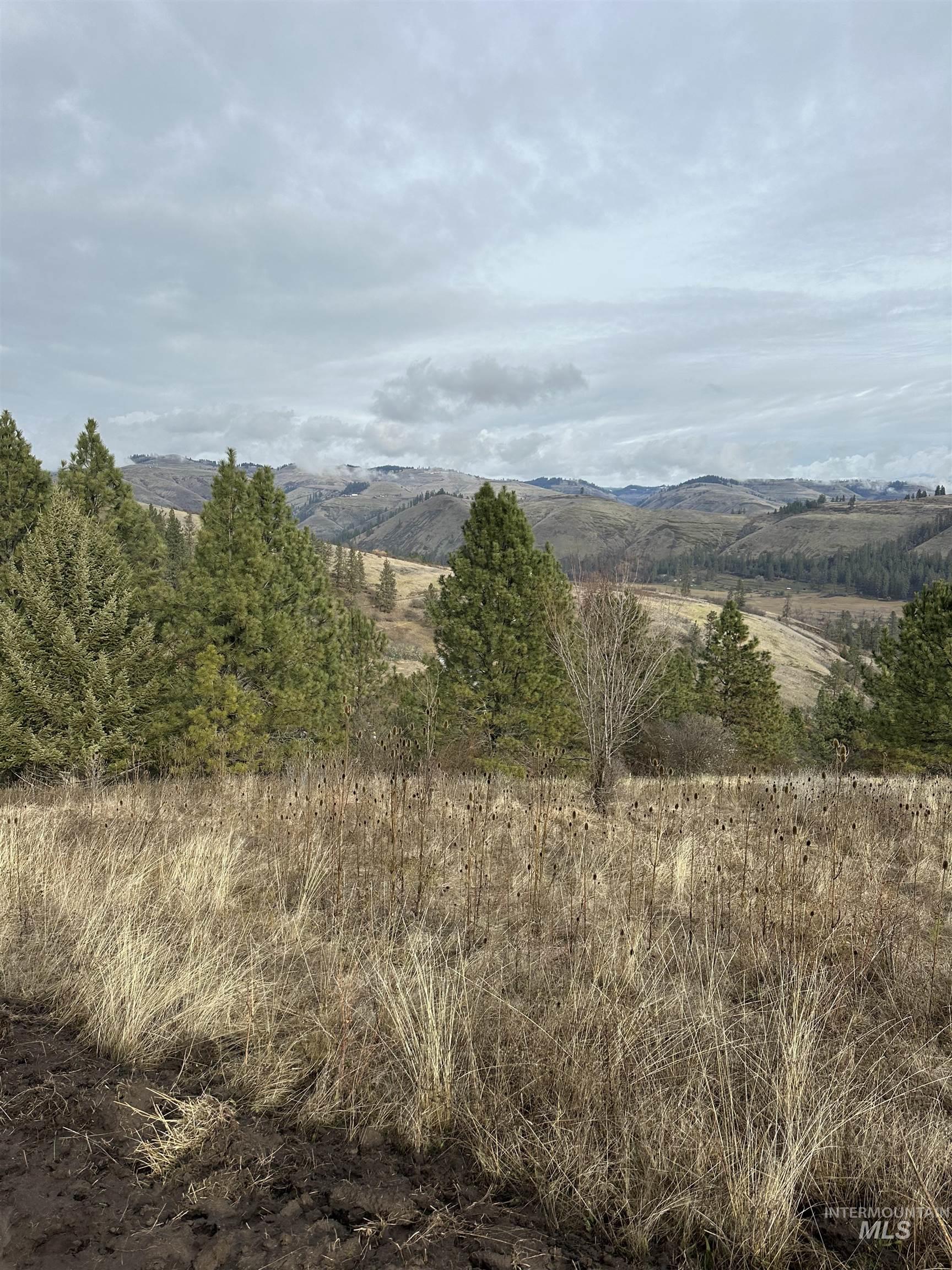 Tbd Canyon Drive Kooskia, ID 83539 - Photo 15 of 33 View of mountain background featuring rural landscape