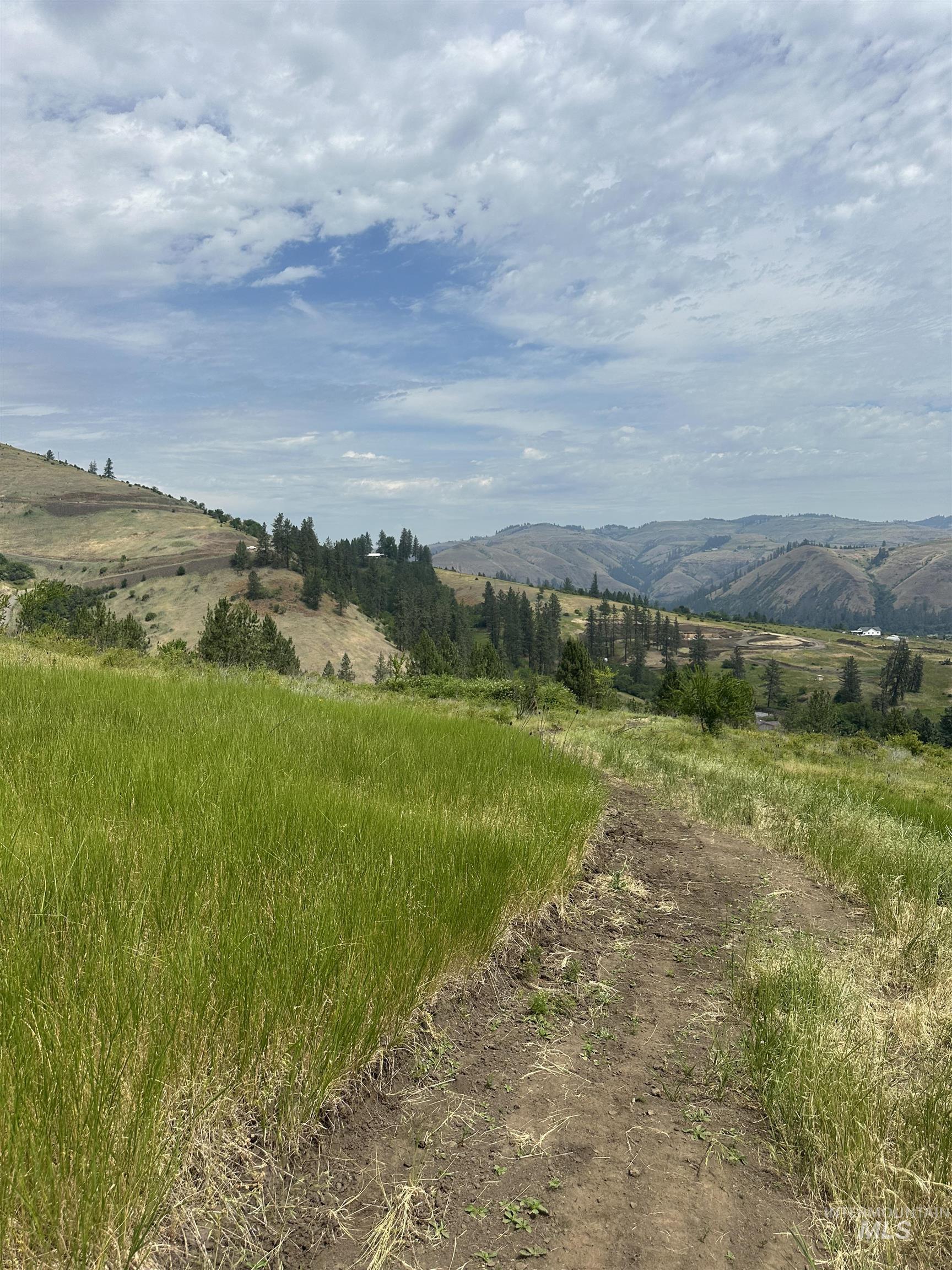 Tbd Canyon Drive Kooskia, ID 83539 - Photo 16 of 33 View of mountain backdrop featuring rural landscape
