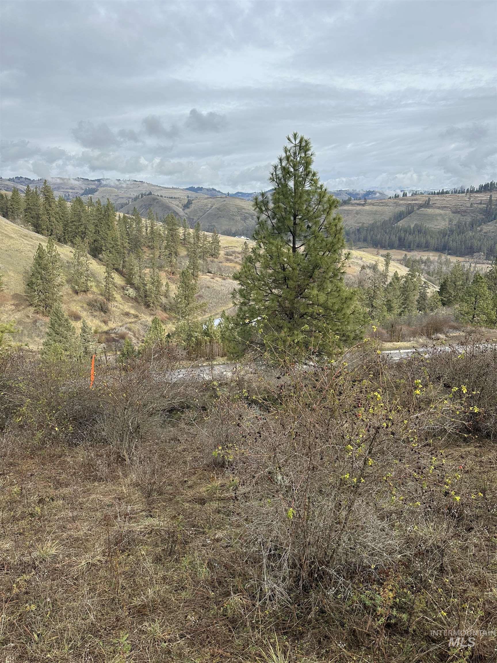 Tbd Canyon Drive Kooskia, ID 83539 - Photo 17 of 33 Mountain view with rural landscape