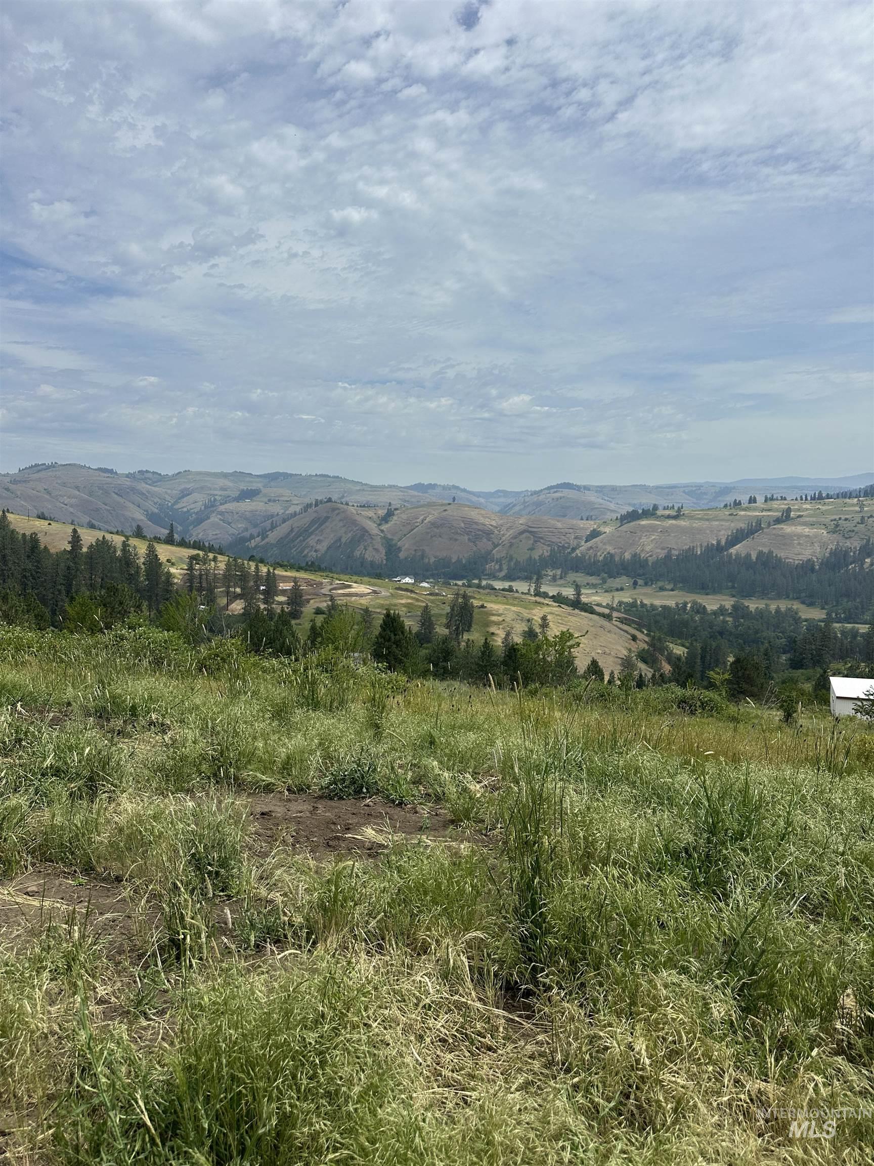Tbd Canyon Drive Kooskia, ID 83539 - Photo 26 of 33 View of mountain backdrop featuring rural landscape