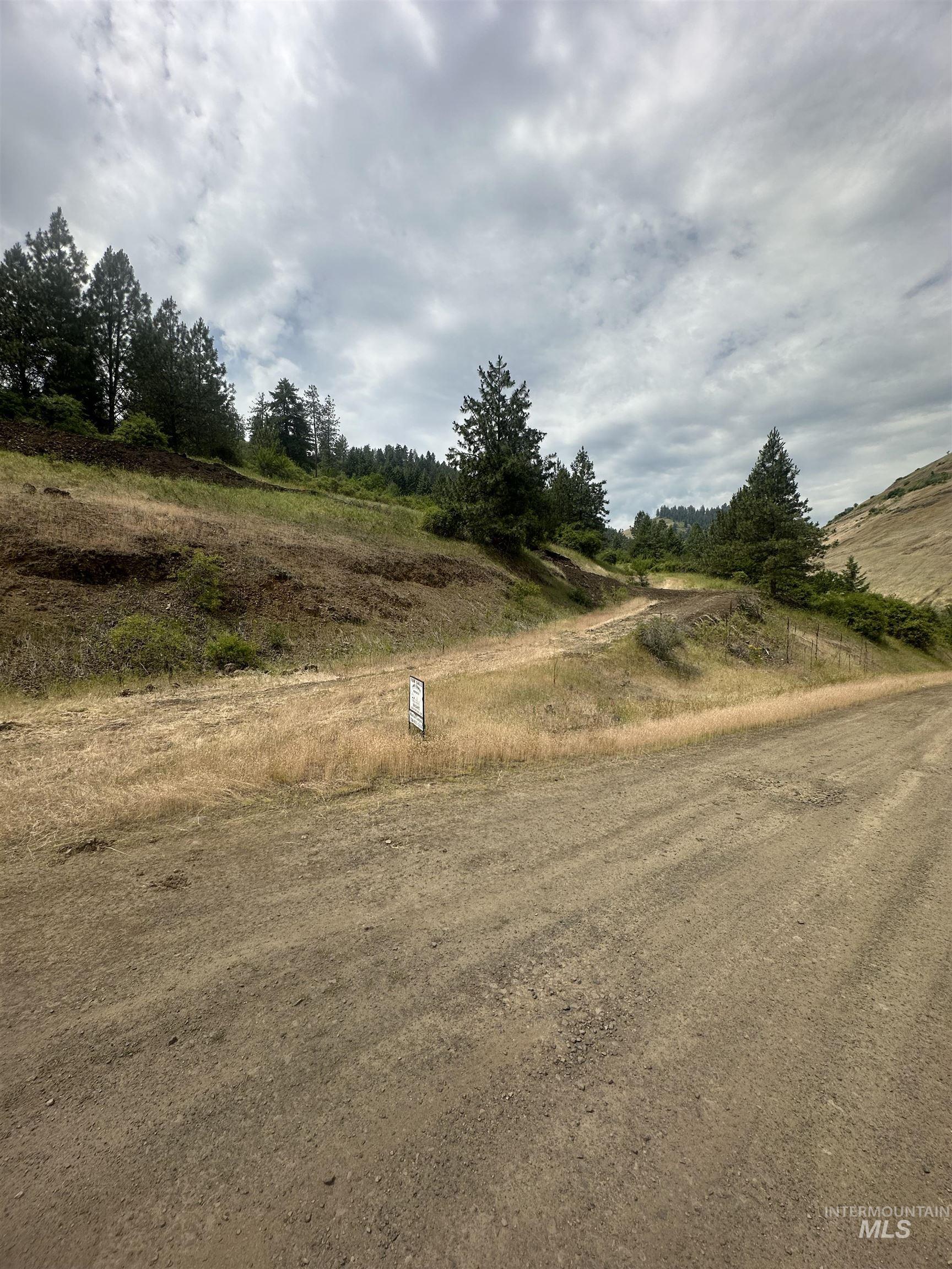 Tbd Canyon Drive Kooskia, ID 83539 - Photo 28 of 33 View of road featuring a rural view