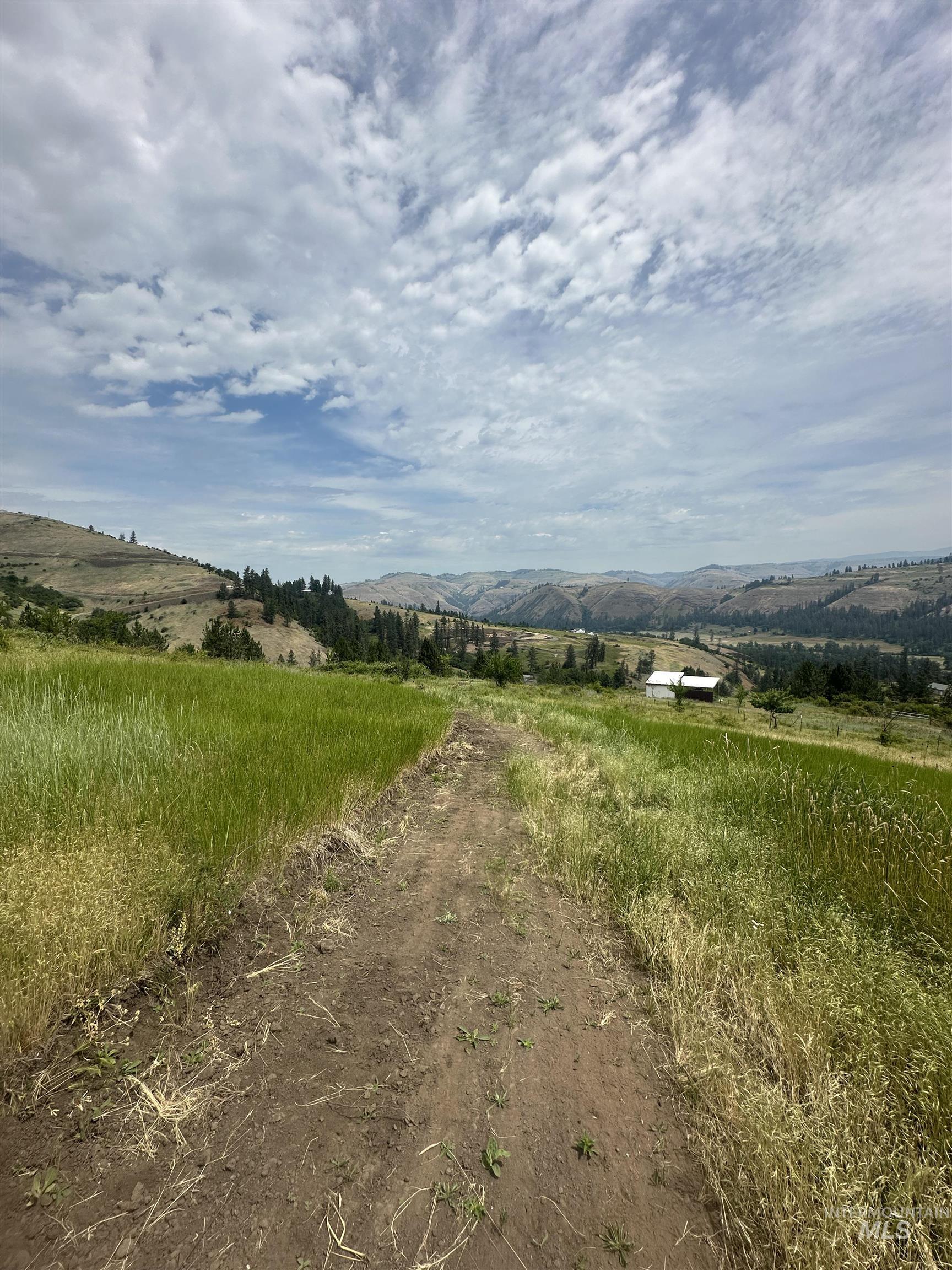 Tbd Canyon Drive Kooskia, ID 83539 - Photo 29 of 33 View of mountain backdrop featuring rural landscape