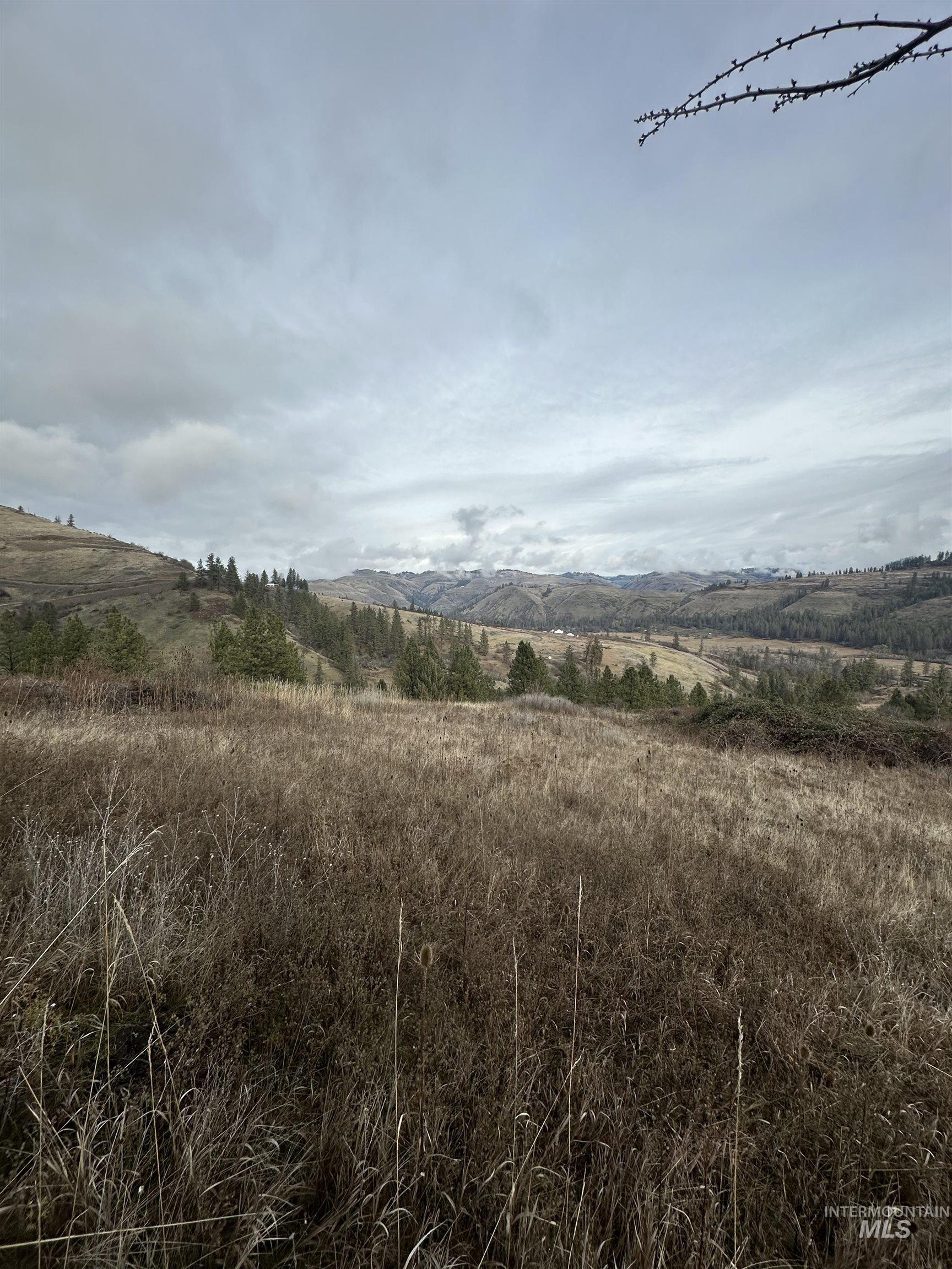 Tbd Canyon Drive Kooskia, ID 83539 - Photo 6 of 33 View of undeveloped land with rural landscape and a mountain backdrop