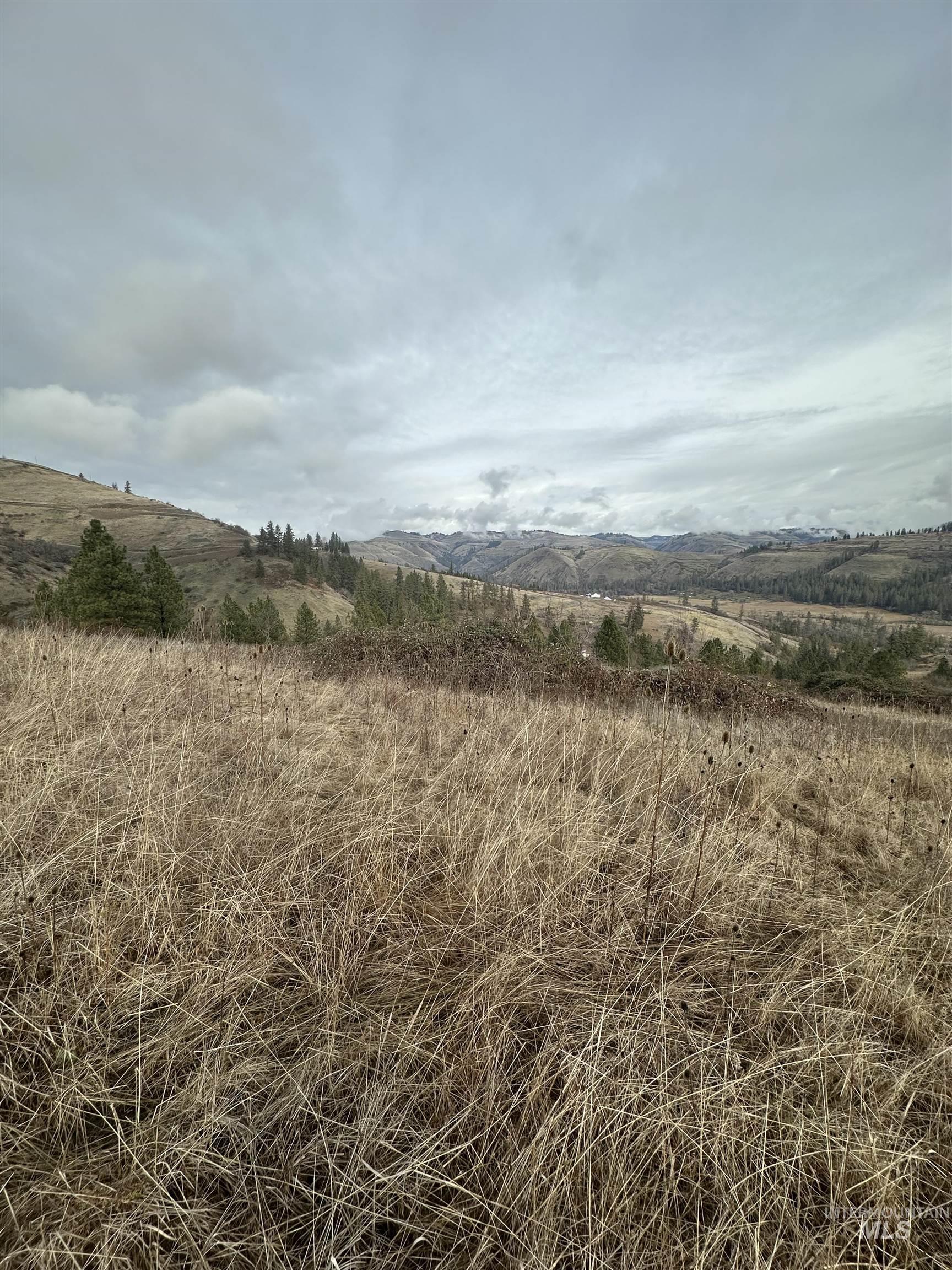 Tbd Canyon Drive Kooskia, ID 83539 - Photo 7 of 33 View of nature featuring rural landscape