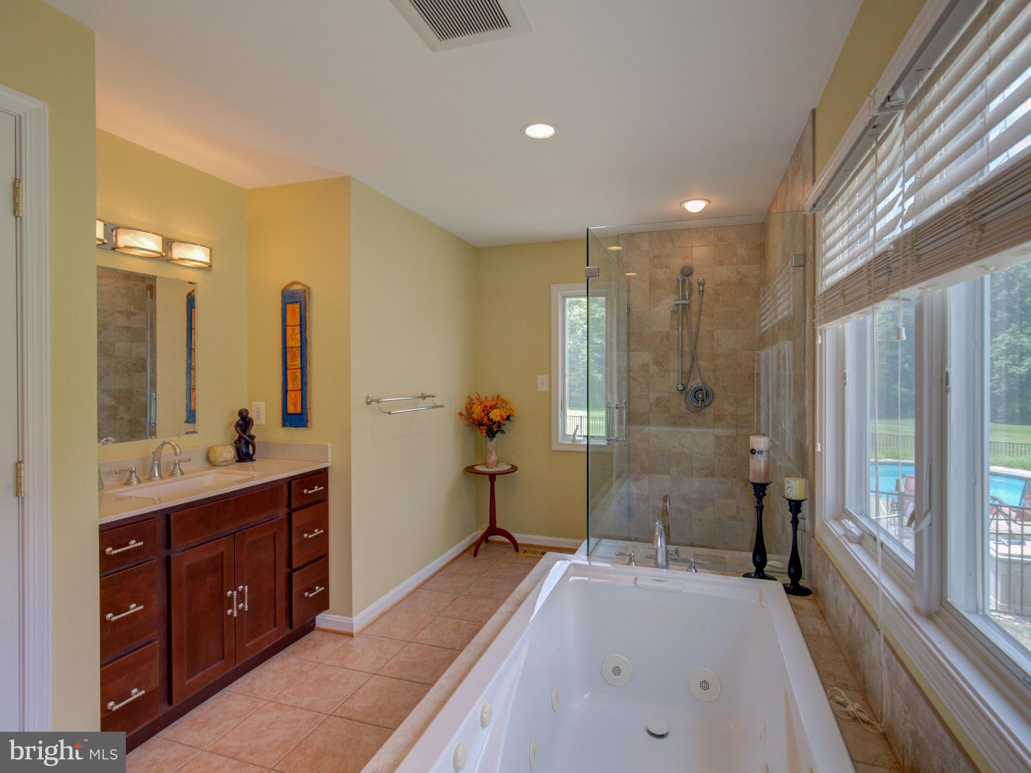 34759 Bloomfield Road Round Hill, VA 20141 - Photo 21 of 28 Master Bath