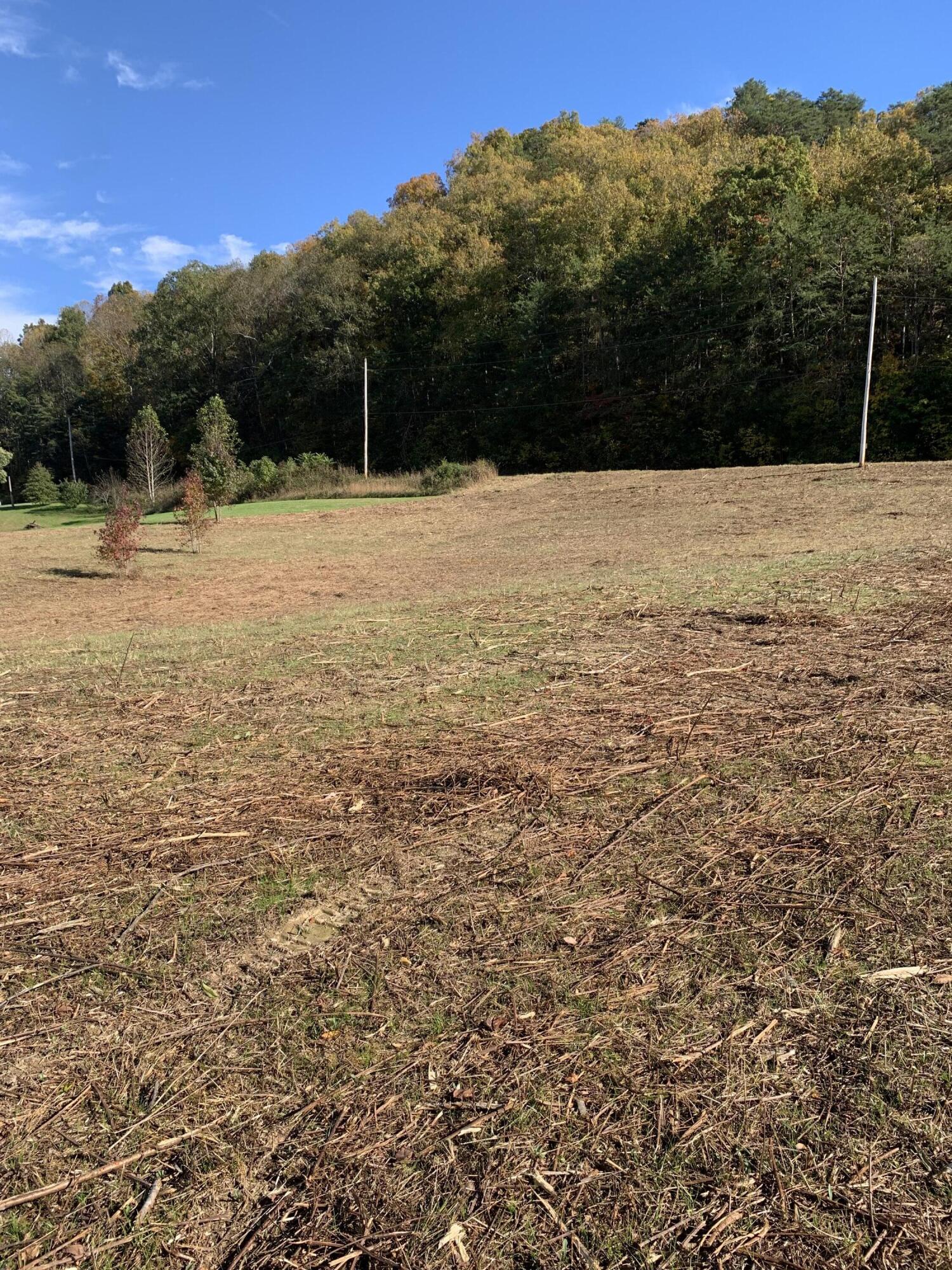 5.85-ac Jackson Hollow Road Mosheim, TN 37818 - Photo 22 of 33 IMG-2551