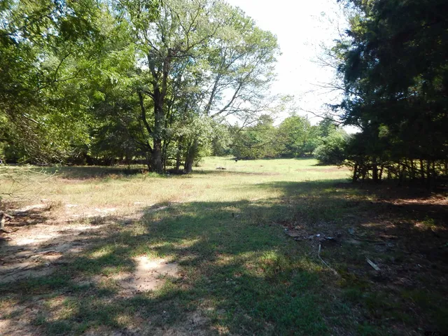 a view of yard with large trees