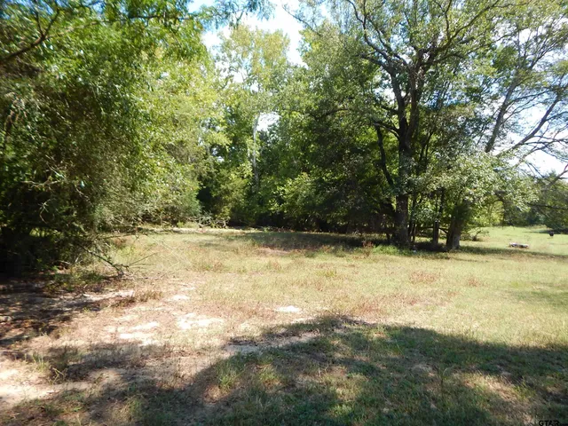 a view of outdoor space with trees all around