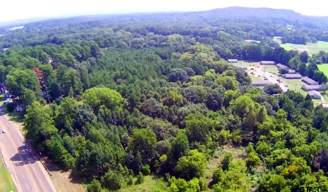 an aerial view of a houses with a lush green hillside