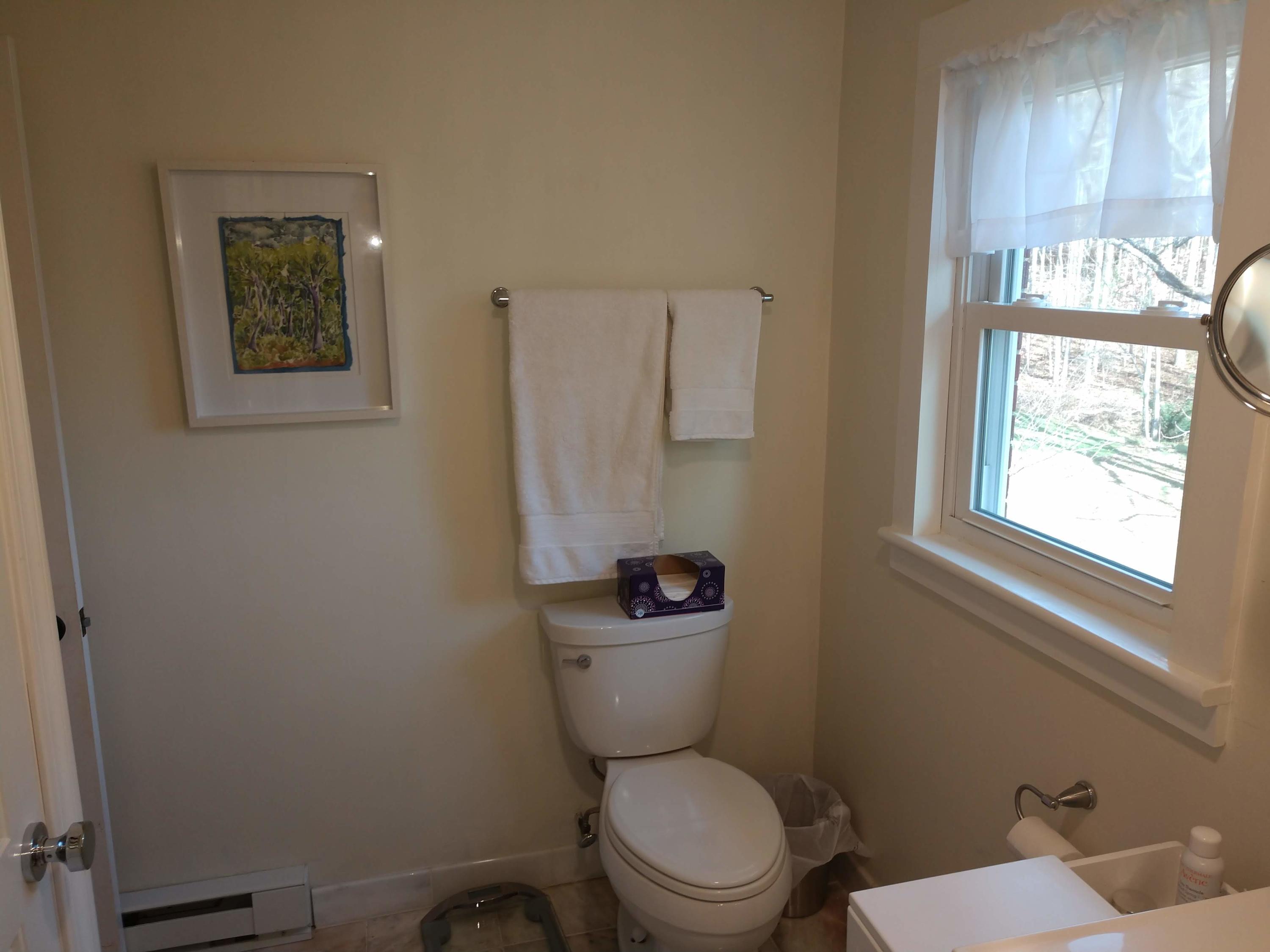 7909 Bear Ridge Road Southeast Copper Hill, VA 24079 - Photo 36 of 61 a white toilet sitting next to a bathroom sink