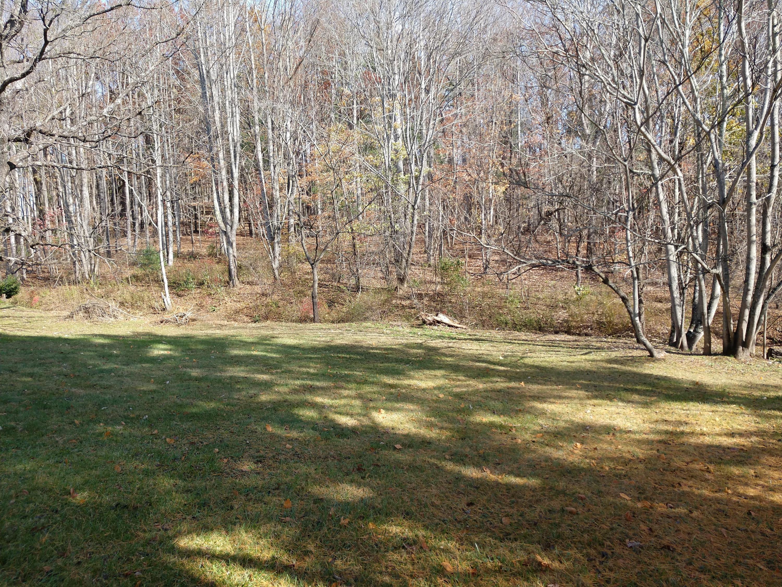 7909 Bear Ridge Road Southeast Copper Hill, VA 24079 - Photo 50 of 61 IMG_20191104_105441138