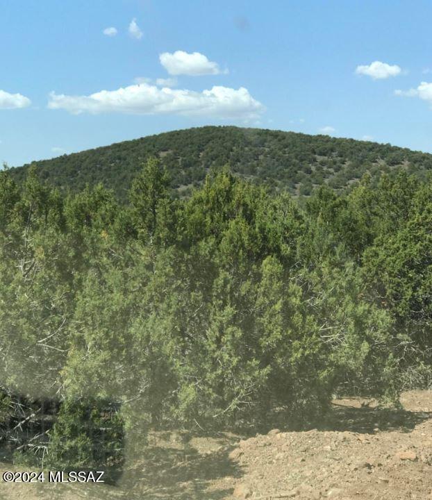268 Olivas Alone Road Williams, AZ 86046 - Photo 5 of 12