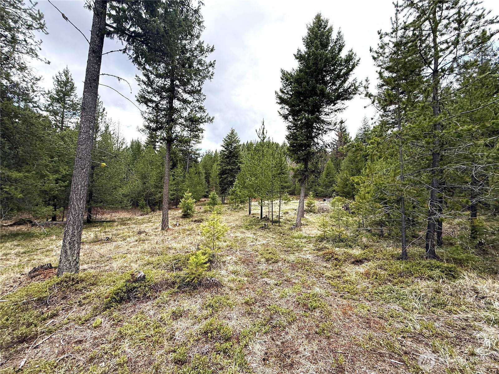 7 Hazel Lane Republic, WA 99166 - Photo 2 of 28