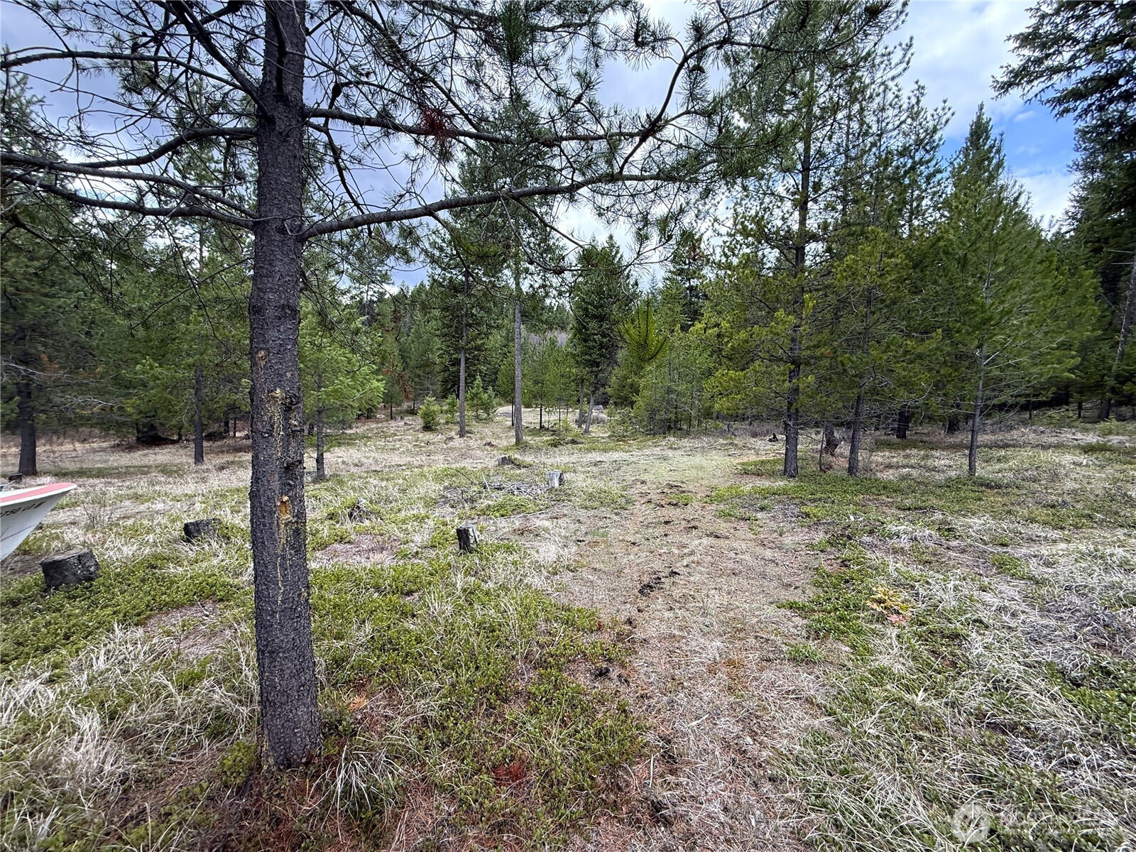 7 Hazel Lane Republic, WA 99166 - Photo 23 of 28