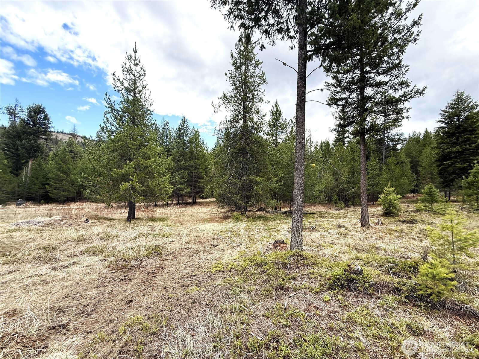 7 Hazel Lane Republic, WA 99166 - Photo 26 of 28