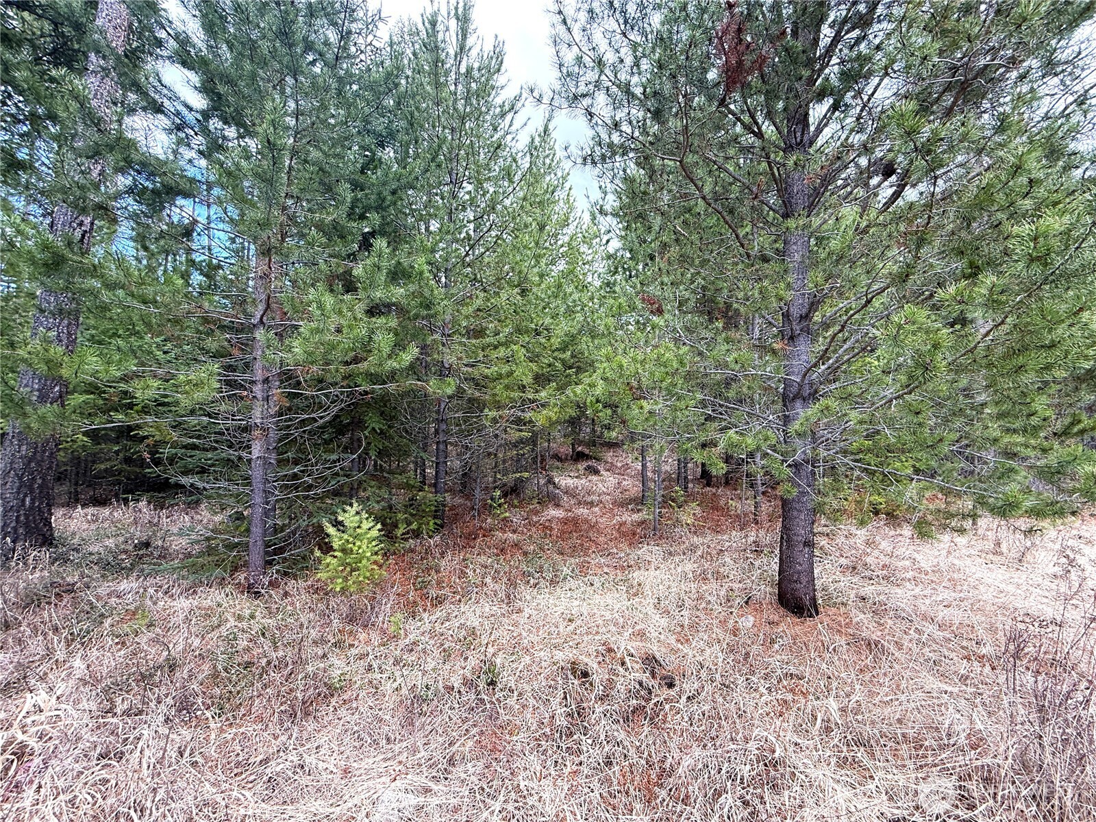 7 Hazel Lane Republic, WA 99166 - Photo 27 of 28