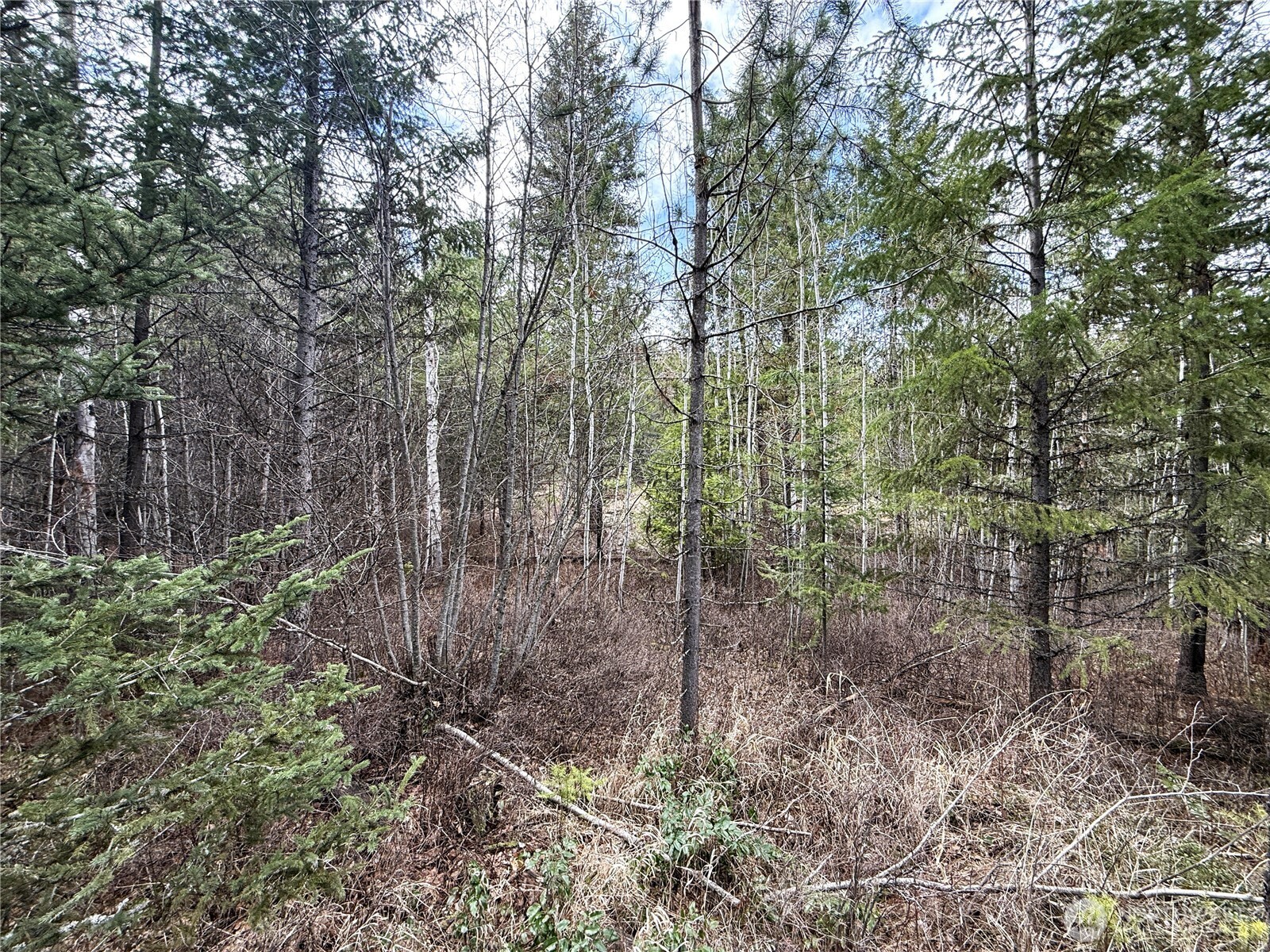 7 Hazel Lane Republic, WA 99166 - Photo 28 of 28