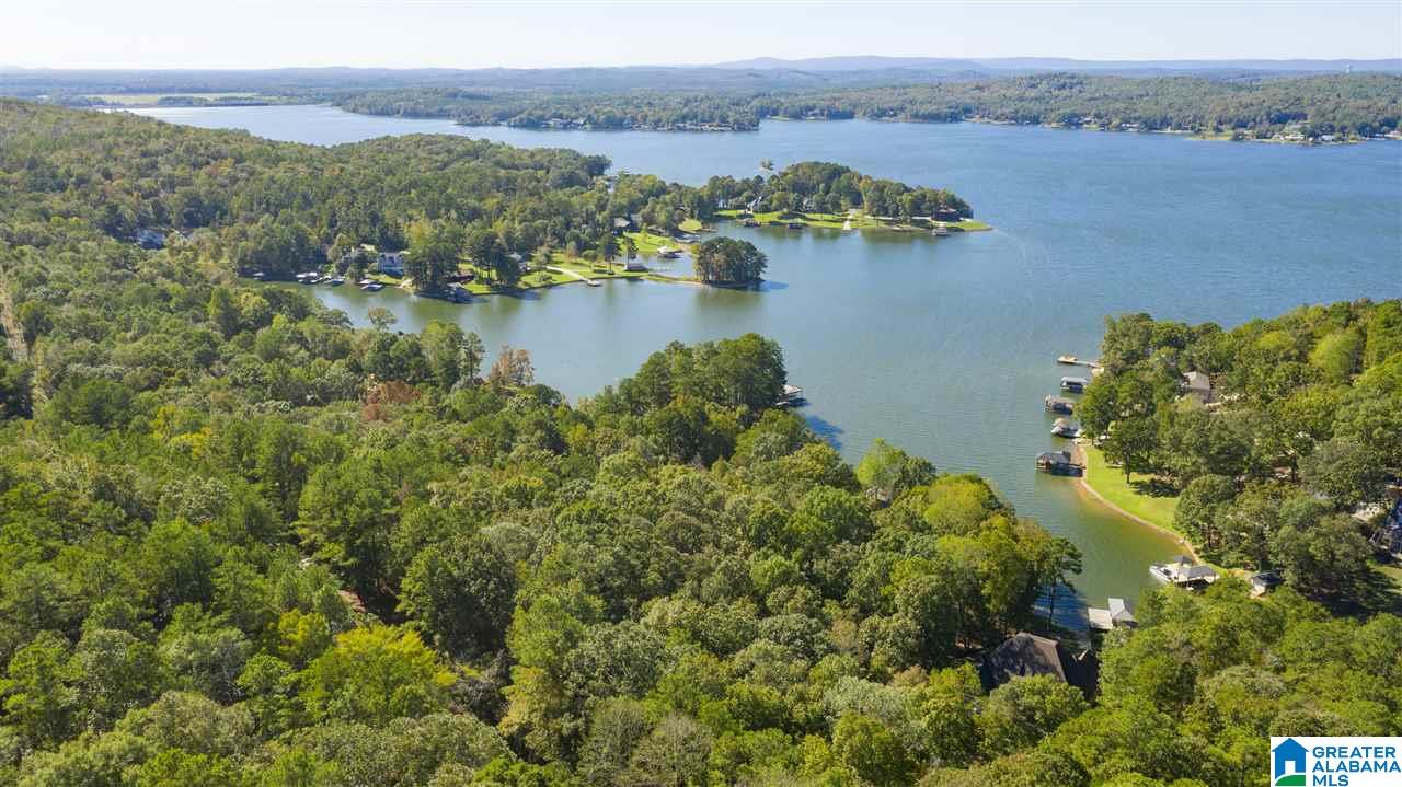 209 Davis Acres Drive Alpine, AL 35014 - Photo 45 of 46