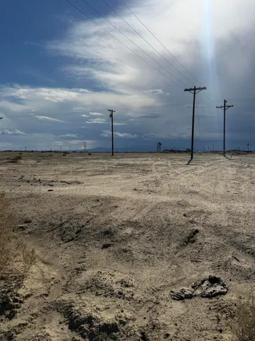 a view of a dry yard