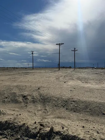 a view of a dry yard