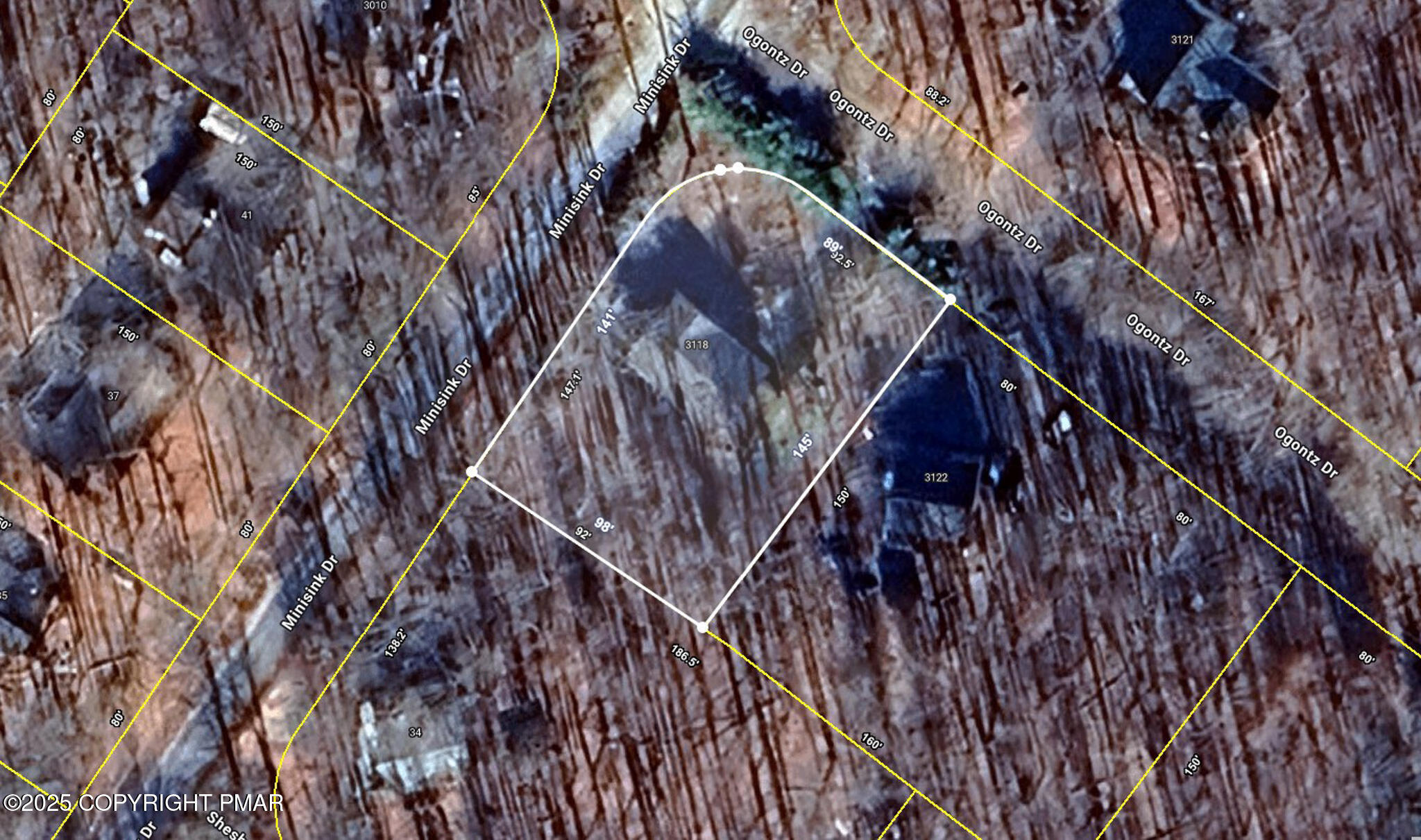 3118 Ogontz Drive Pocono Lake, PA 18347 - Photo 62 of 66 a picture of tree