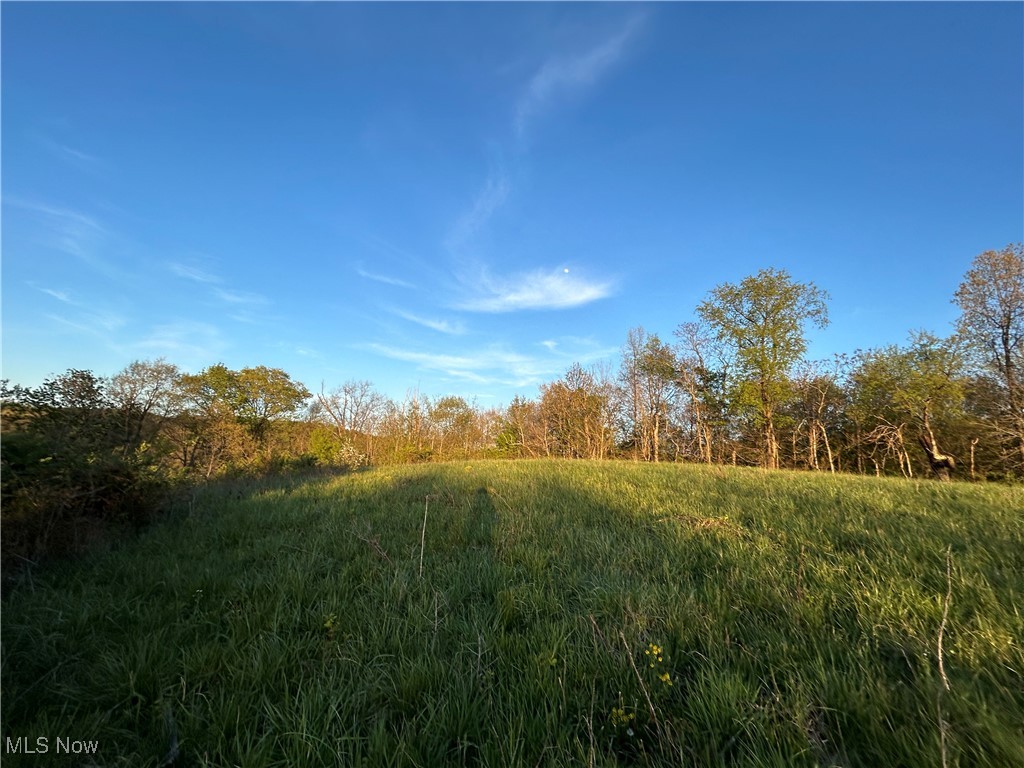 0 Close Road Newport, OH 45768 - Photo 6 of 15 View of woods