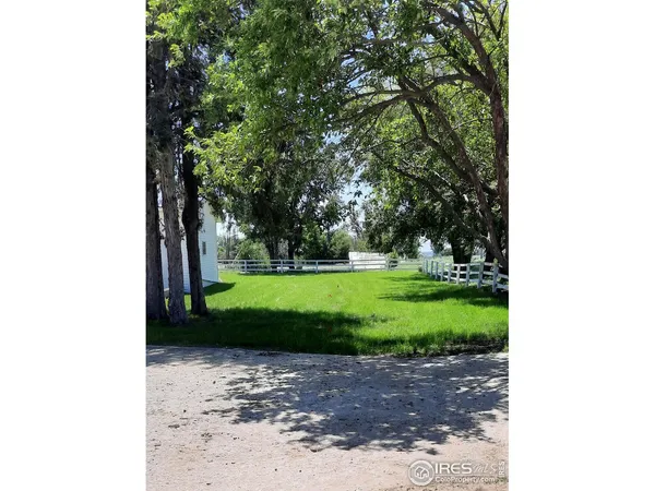 a view of a park with large trees