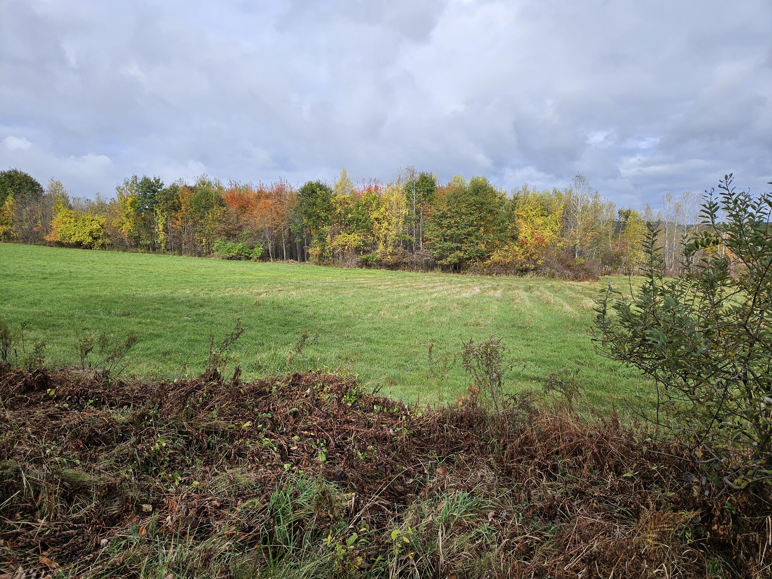 Lot 32 Range Road Limerick, ME 04048 - Photo 3 of 9 20231017_102211