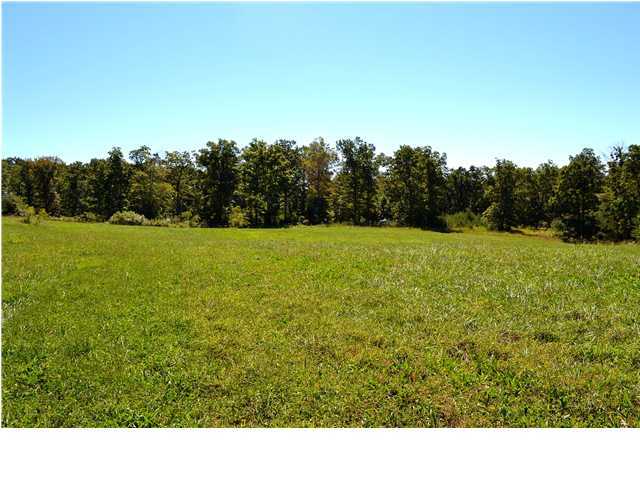 2 Douglas Road Dunlap, TN 37327 - Photo 1 of 5 Primary Photo