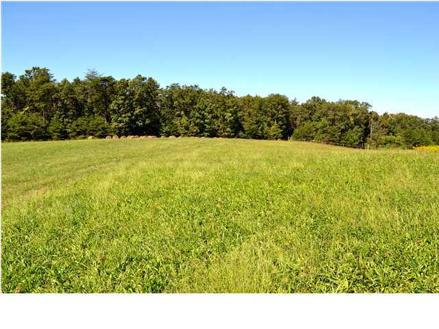 2 Douglas Road Dunlap, TN 37327 - Photo 3 of 5 Additional Photo