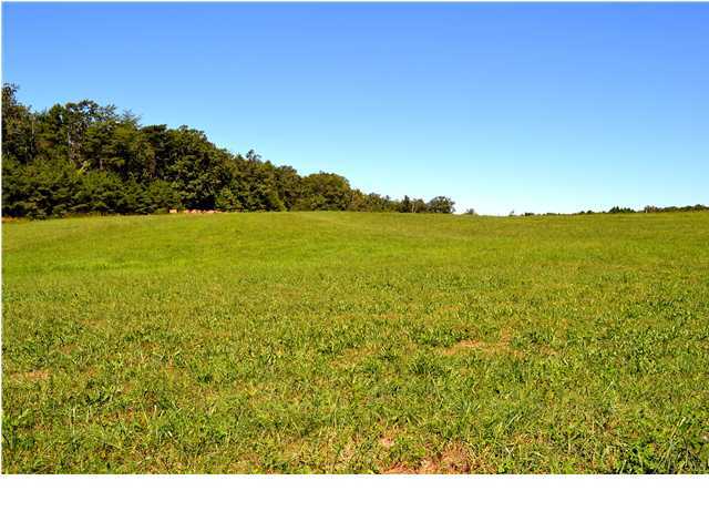 2 Douglas Road Dunlap, TN 37327 - Photo 4 of 5 Additional Photo