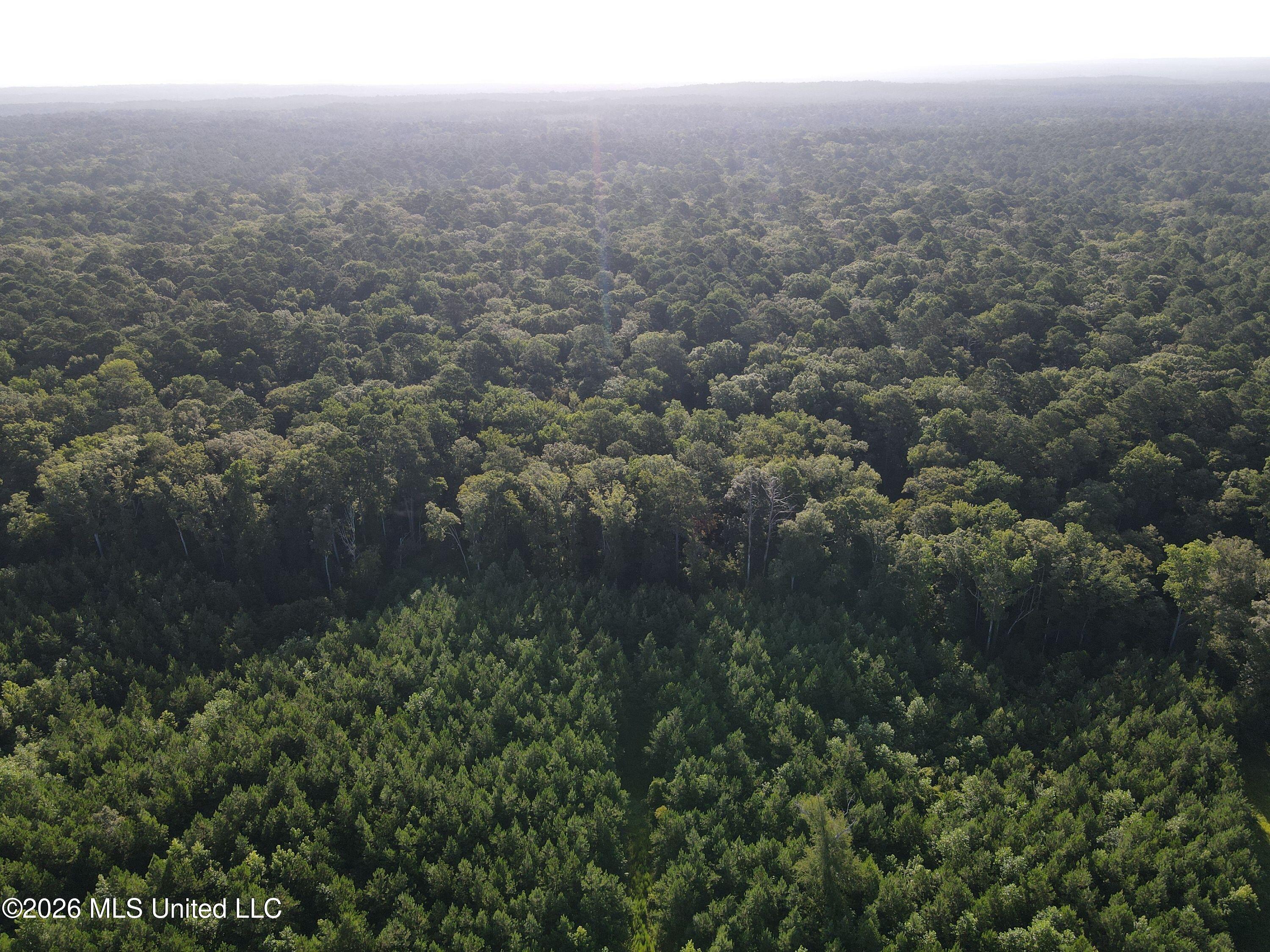 Cupit Rd Union Union Church, MS 39668 - Photo 11 of 61 DJI_0717