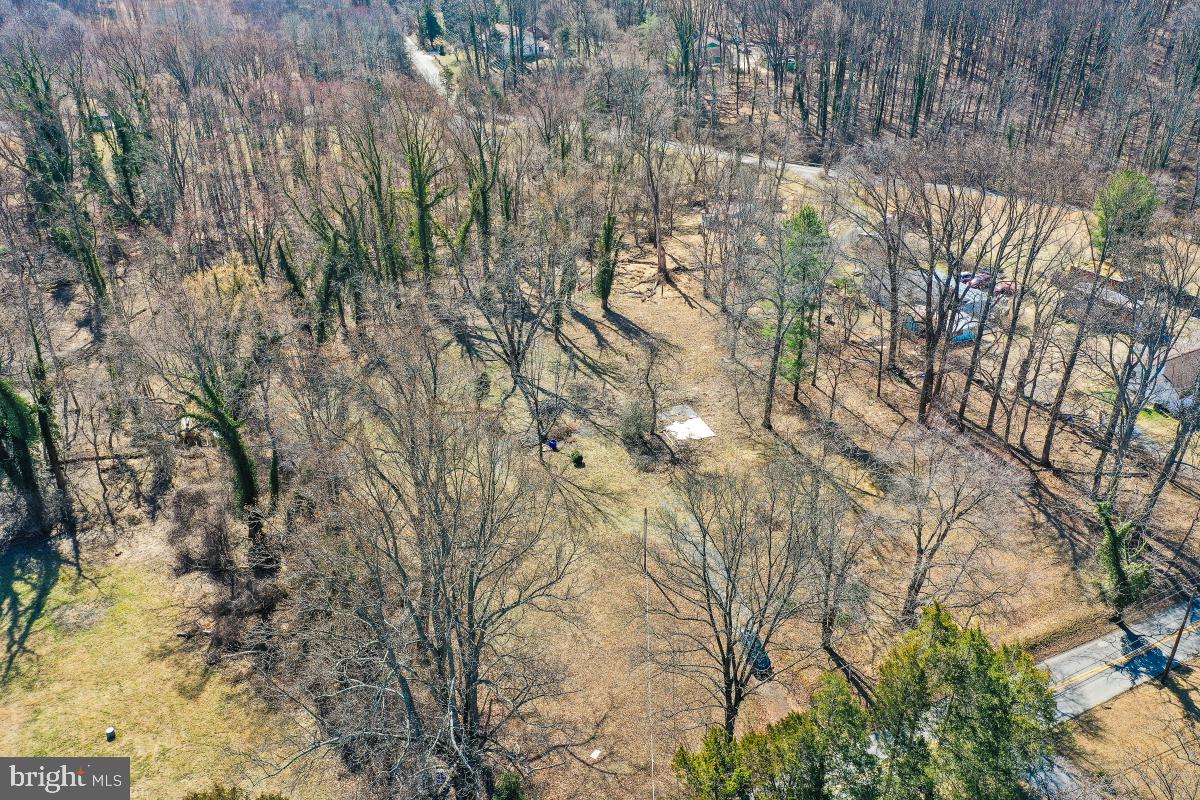 18465 Brooke Road Sandy Spring, MD 20860 - Photo 17 of 24 a backyard of a house with lots of green space