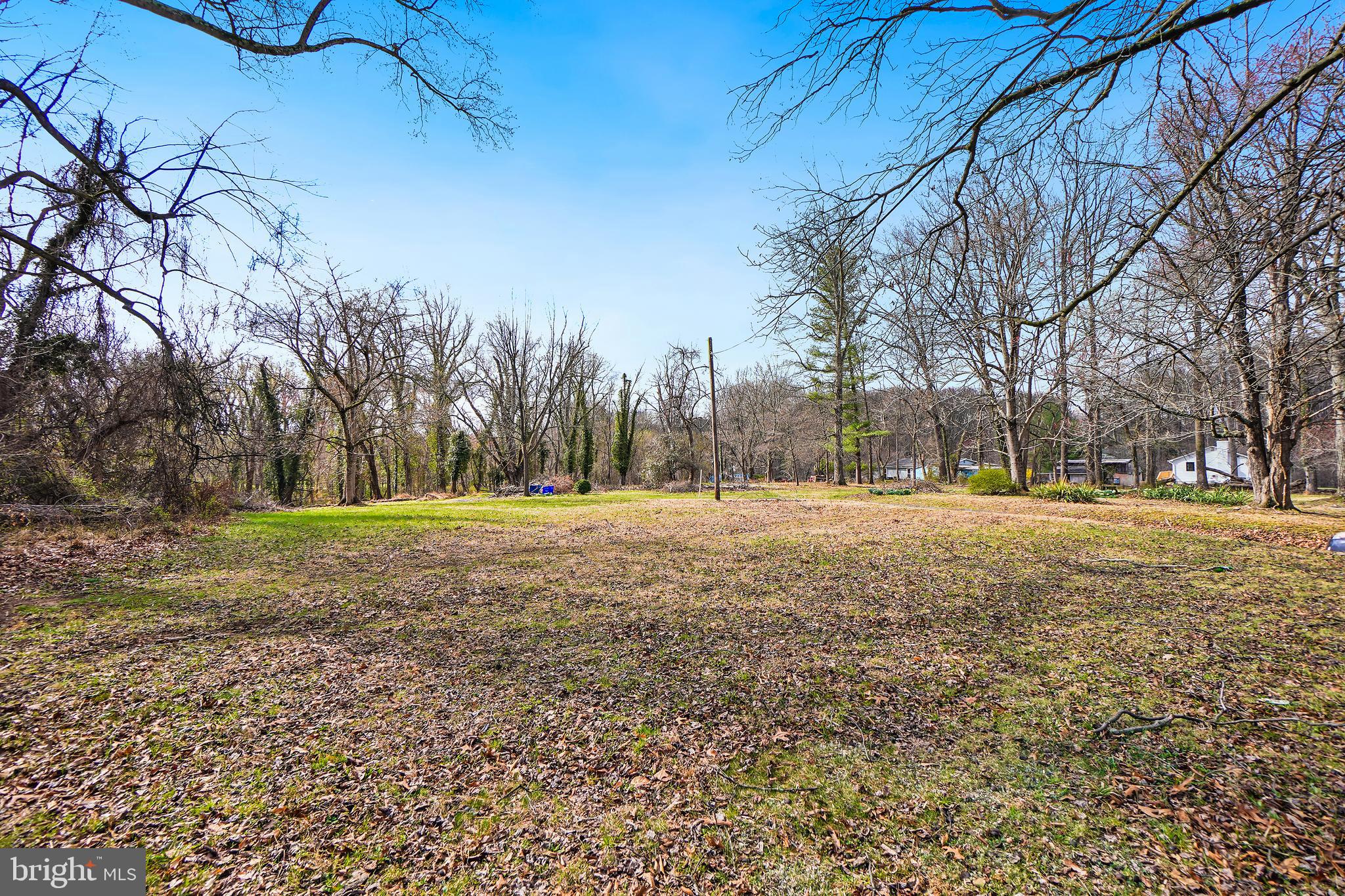 18465 Brooke Road Sandy Spring, MD 20860 - Photo 21 of 24 a view of yard with trees
