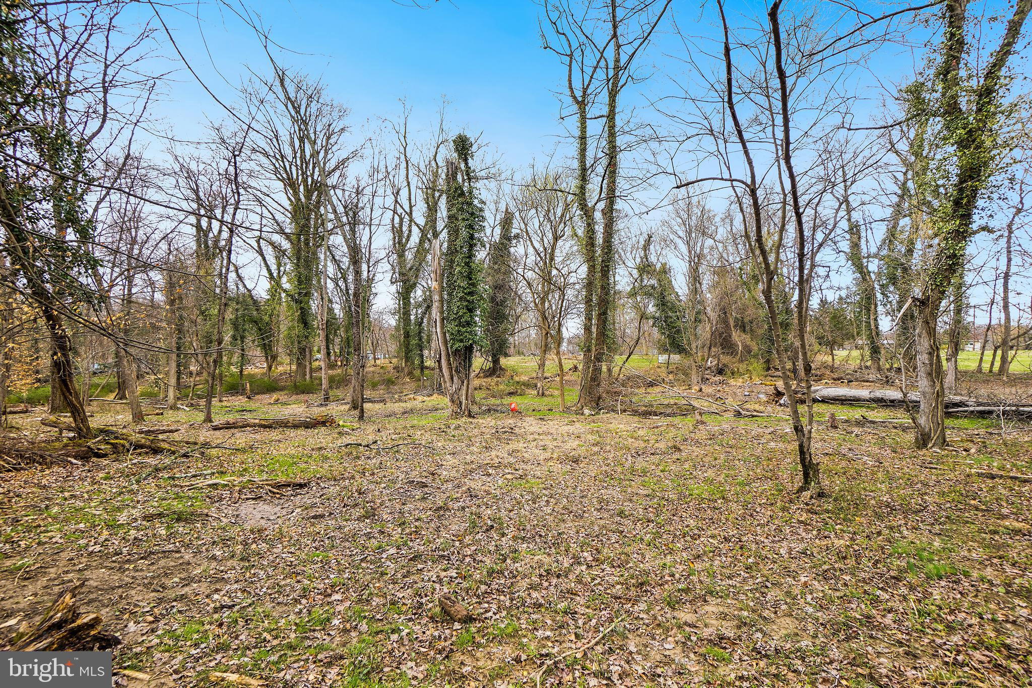 18465 Brooke Road Sandy Spring, MD 20860 - Photo 22 of 24 a view of yard with trees