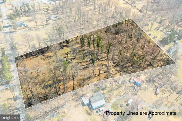a view of a yard with trees