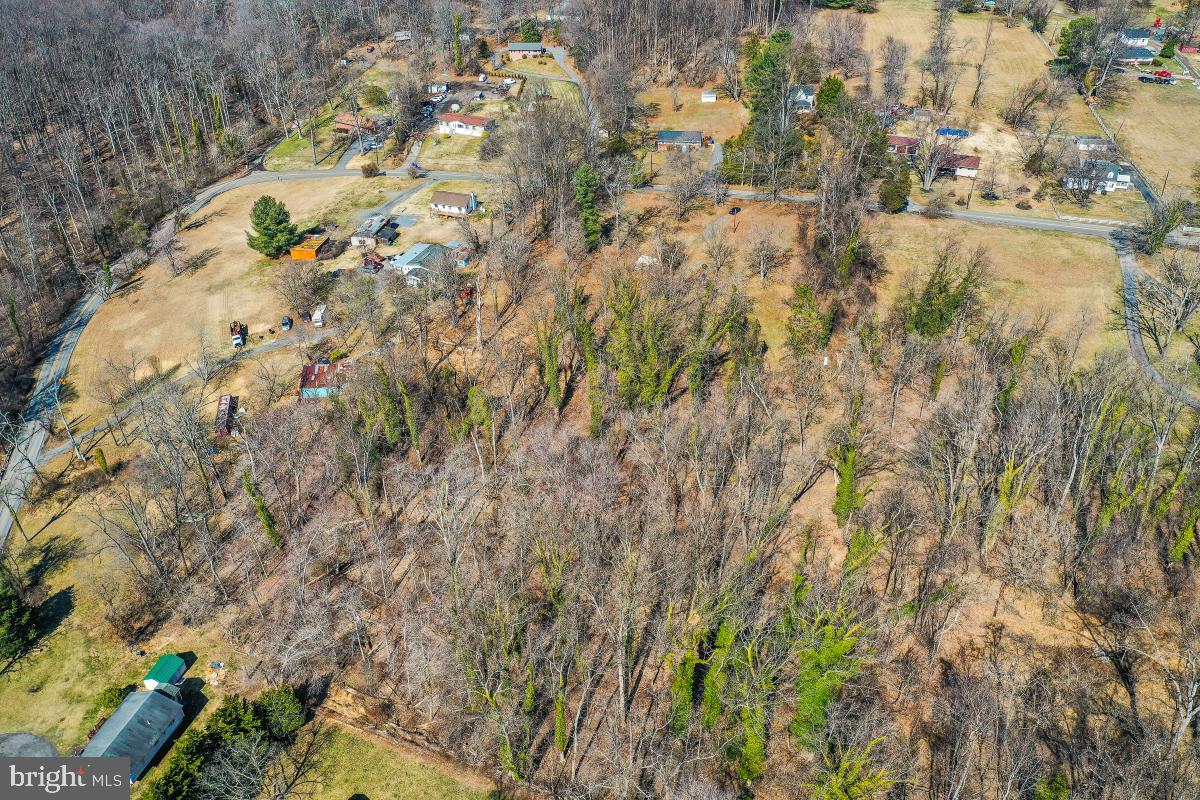 18465 Brooke Road Sandy Spring, MD 20860 - Photo 9 of 24 a view of a yard with trees