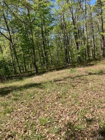 $112,995 | 12 West State Highway, Potosi, MO 63664