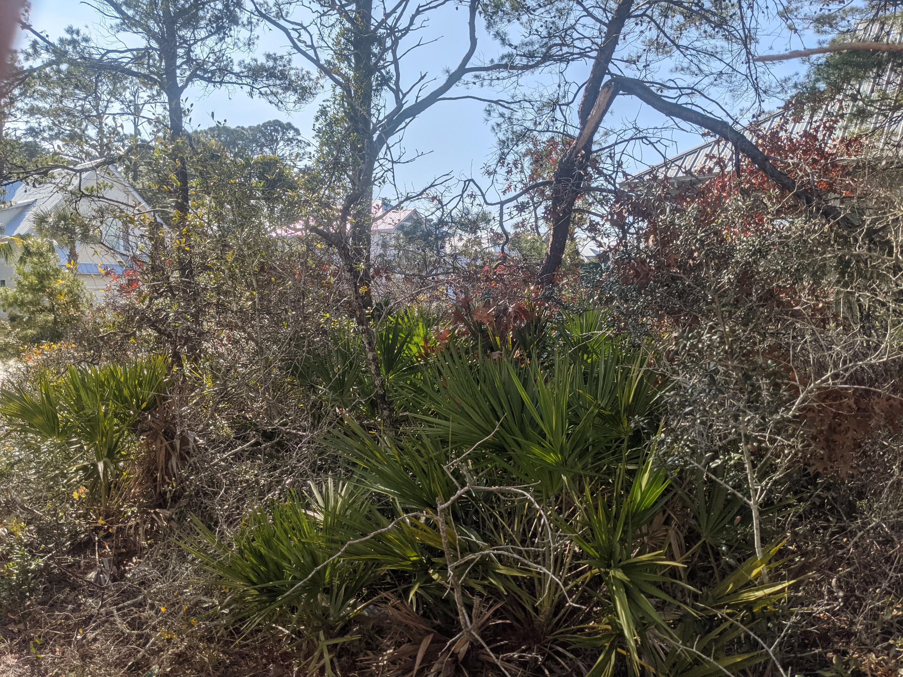 Lot 7 Michaela Lane Santa Rosa Beach, FL 32459 - Photo 11 of 11 PXL_20210113_190106767