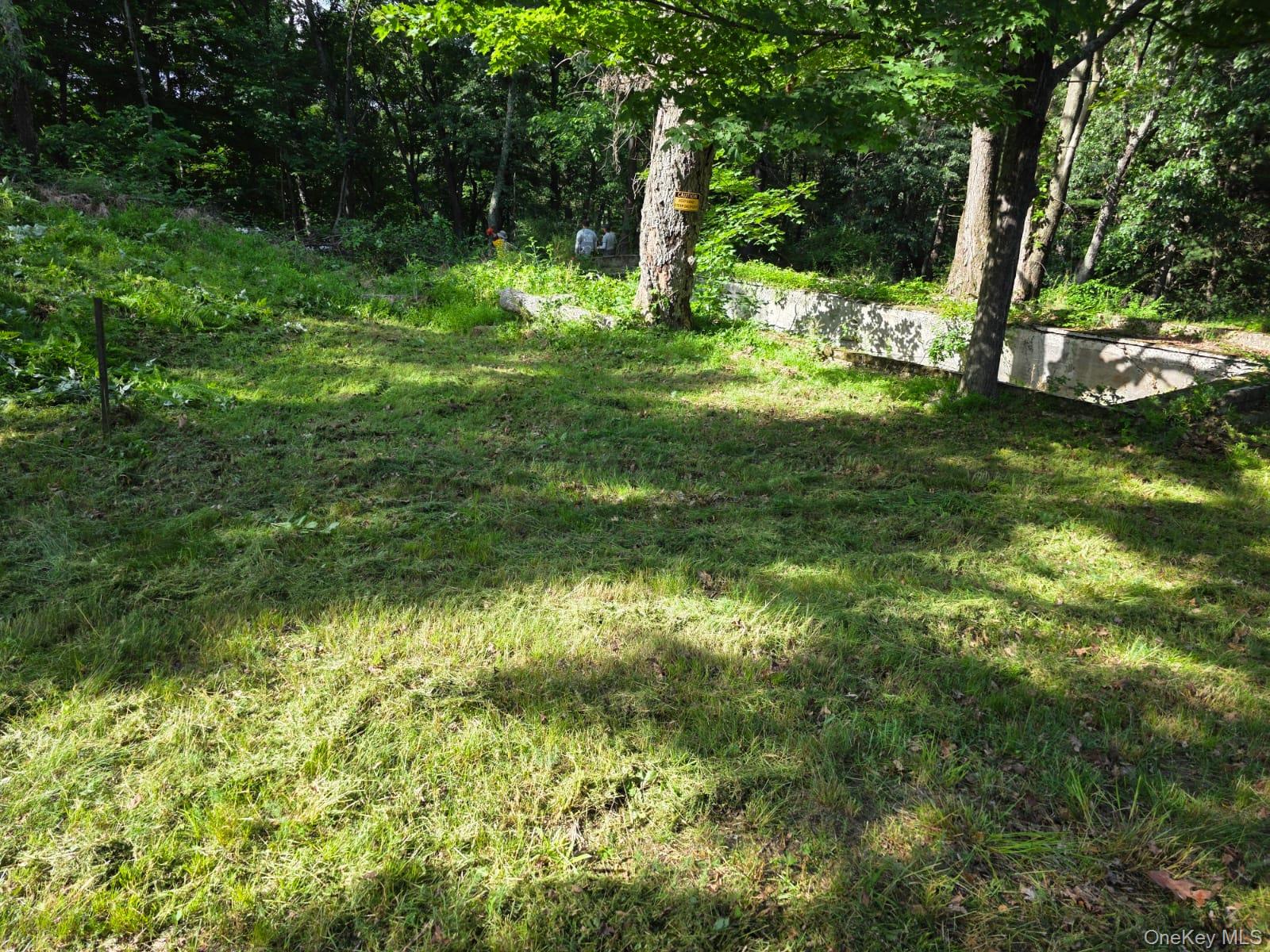 66 Ryan Road Pine Plains, NY 12567 - Photo 7 of 10 Clearing for Proposed house location