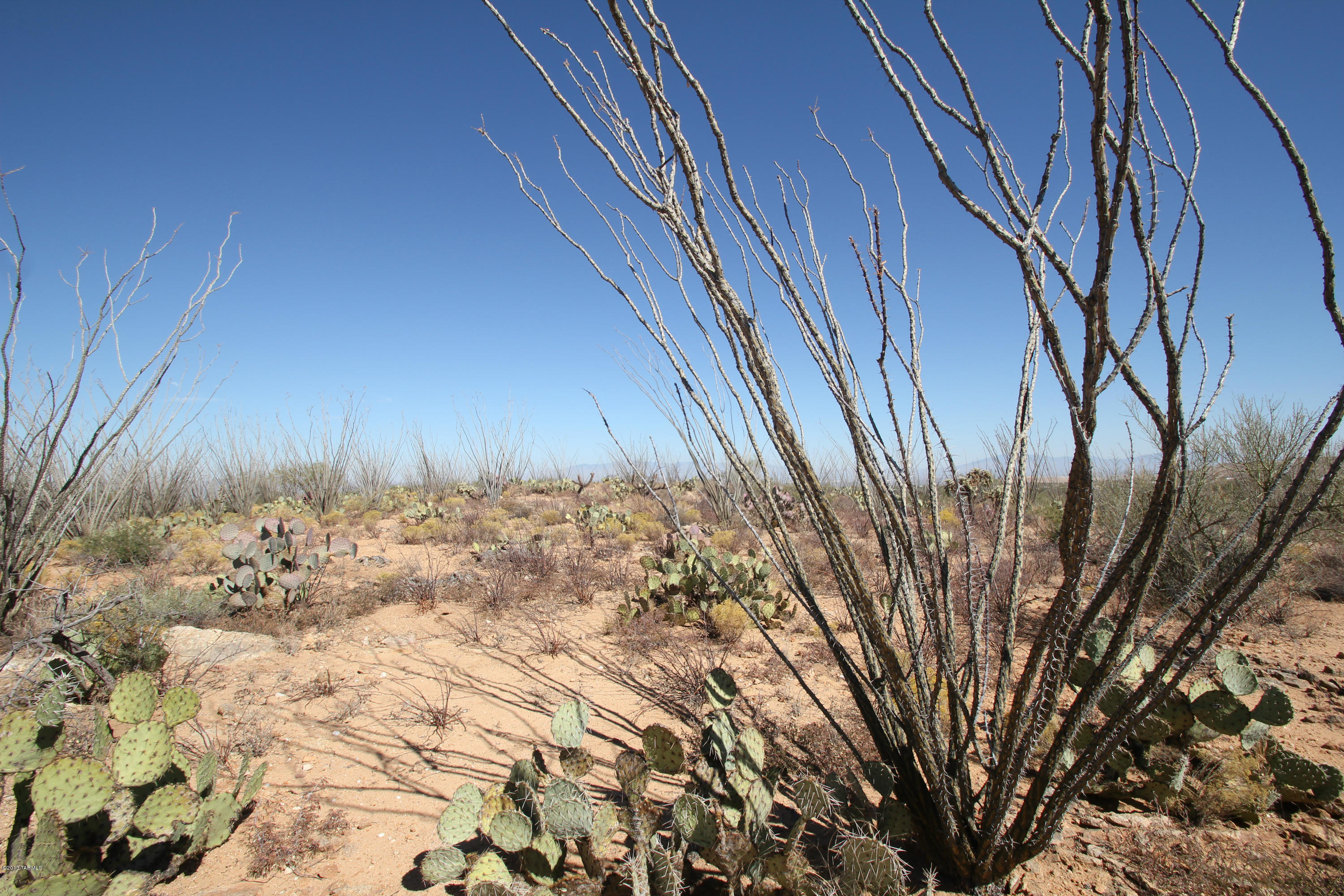 Pinto Road Sahuarita, AZ 85629 - Photo 12 of 17