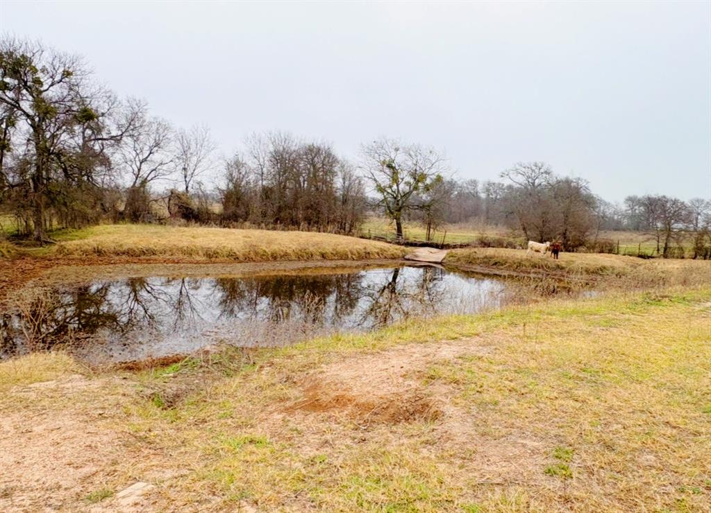 101 County Road 101 Marlin, TX 76661 - Photo 7 of 10