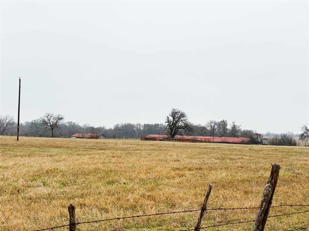 101 County Road 101 Marlin, TX 76661 - Photo 9 of 10