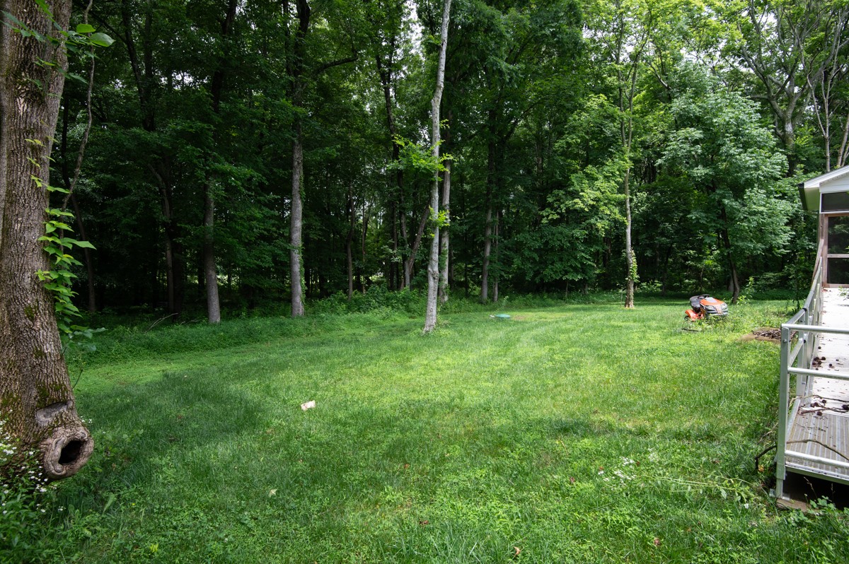 4486 Beards Chapel Road Springfield, TN 37172 - Photo 45 of 54 a view of green field with trees in the background