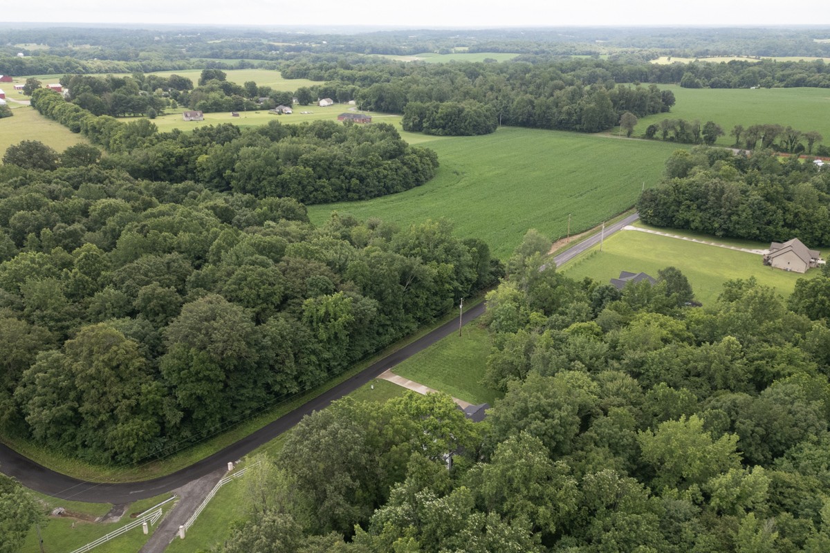 4486 Beards Chapel Road Springfield, TN 37172 - Photo 52 of 54 an aerial view of green landscape with trees houses and mountain view