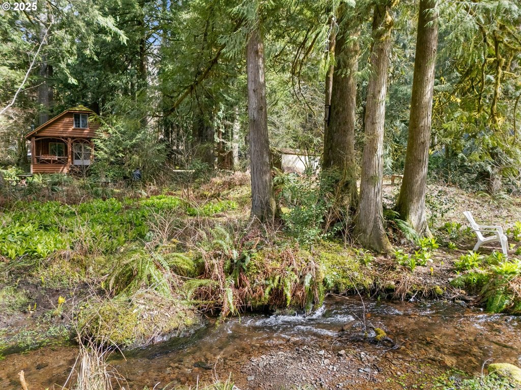 26709 East Henry Creek Road Rhododendron, OR 97049 - Photo 1 of 37 Gallery Image 1
