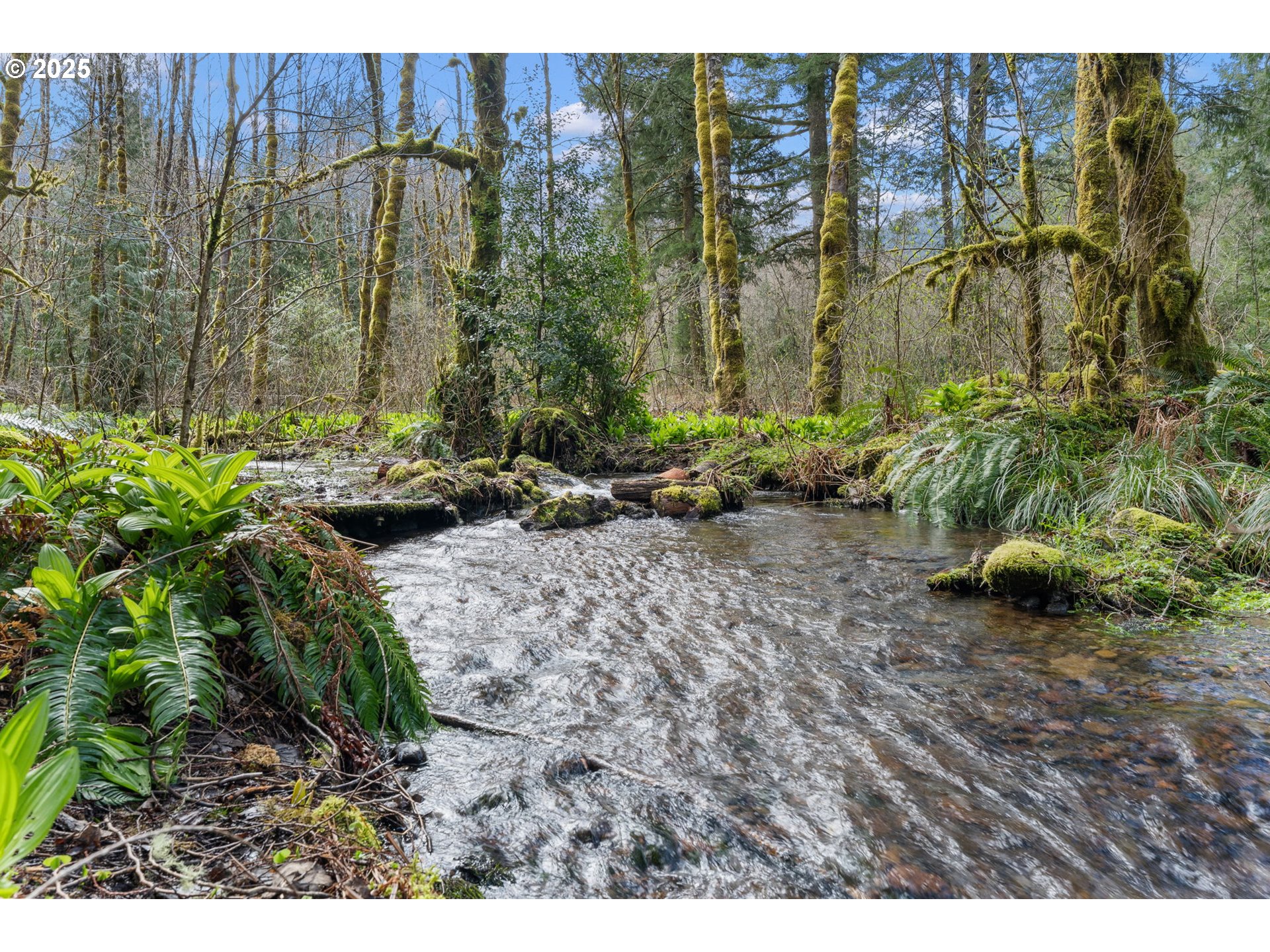 26709 East Henry Creek Road Rhododendron, OR 97049 - Photo 28 of 37 Gallery Image 28