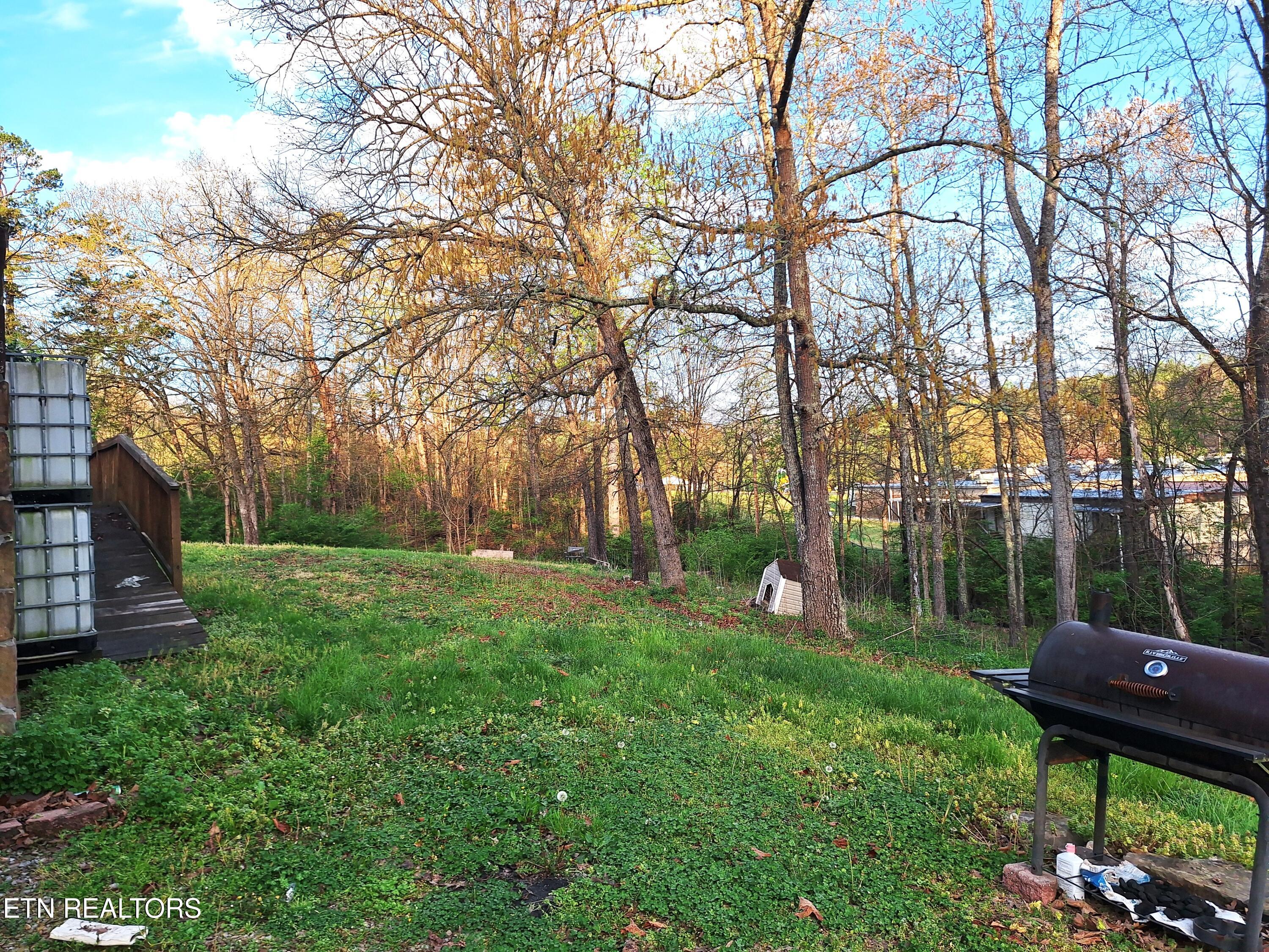 2381 Classic Way Powell, TN 37849 - Photo 21 of 32 Yard Right
