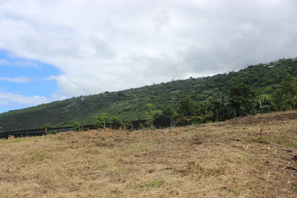 82-5788 Lower Nāpo'opo'o Road Captain Cook, HI 96704 - Photo 1 of 8 a view of a dry yard with mountains in the background