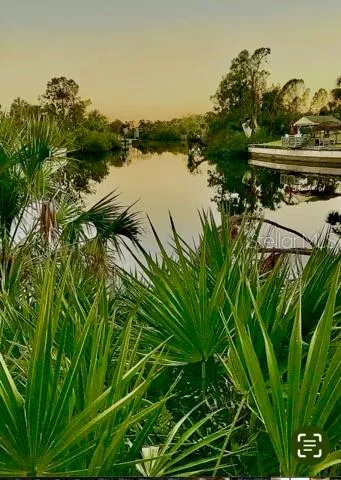 a view of a lake with houses